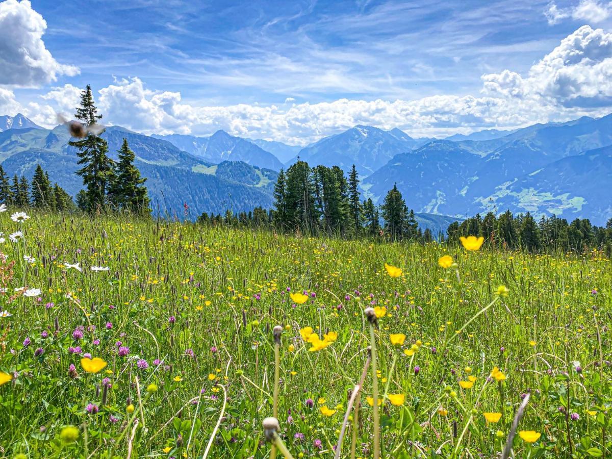 Appartement Franz Zell am Ziller Zewnętrze zdjęcie